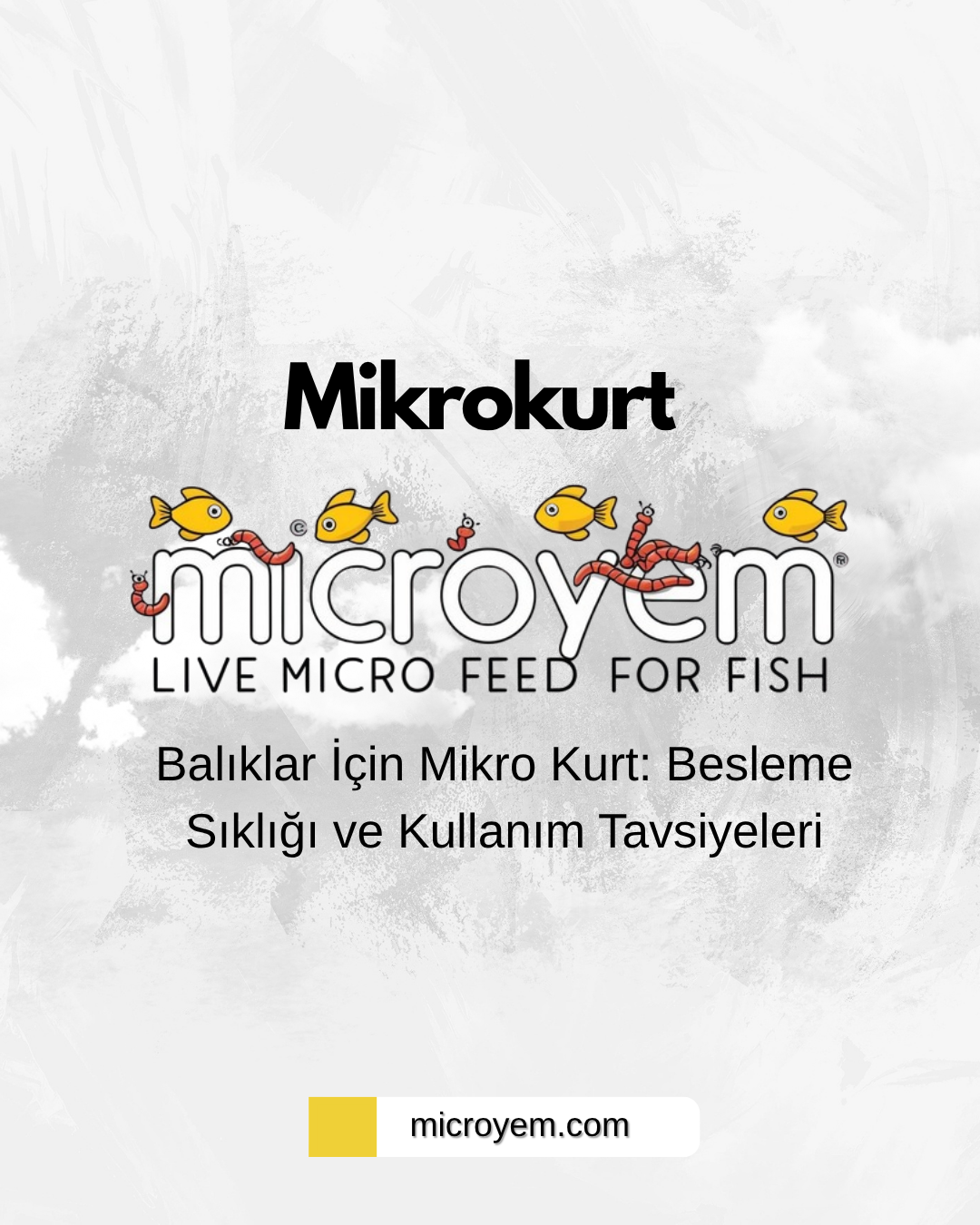 Balıklar İçin Mikro Kurt: Besleme Sıklığı ve Kullanım Tavsiyeleri