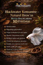 Blackwater Konsantre – Naturel Brew - Görsel 2