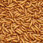 Un Kurdu Canlı 2-3cm 10gr