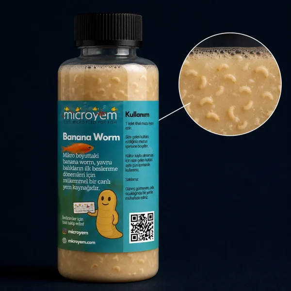 banana worm