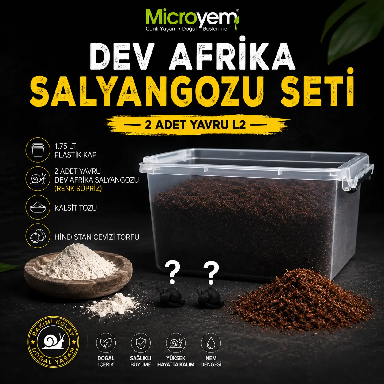 269047e7-75c6-4eec-9c58-429816ff2441 Dev Afrika Salyangozu Seti ( 2 Adet Yavru L2) - Görsel 1