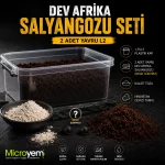 Dev Afrika Salyangozu Seti ( 2 Adet Yavru L2) - Görsel 6
